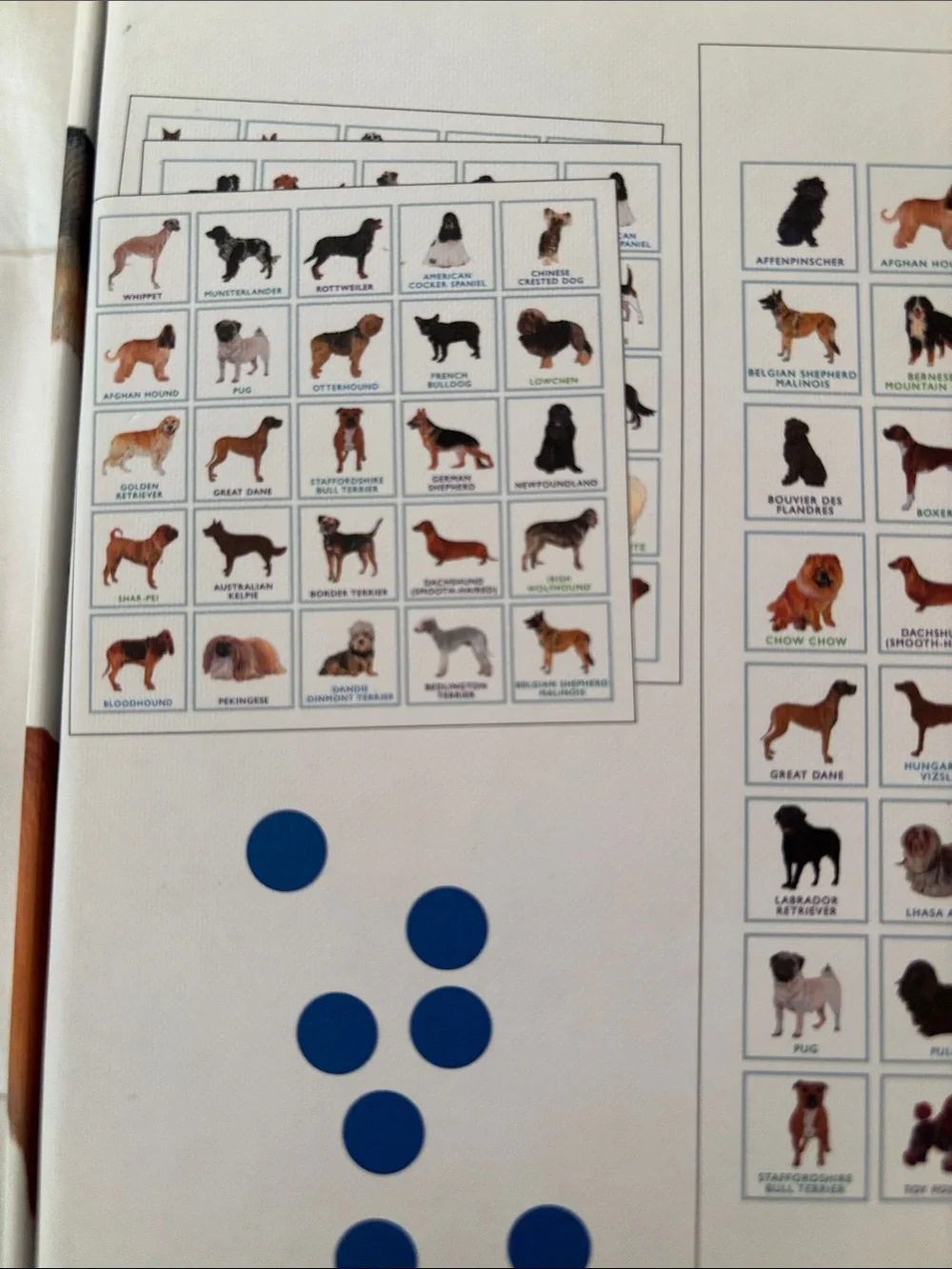 Anthropologie Dog Bingo Board Game - Illustrated Edition (White/Green)